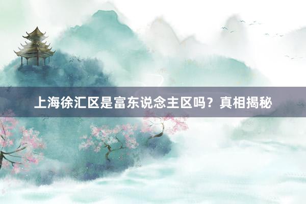 上海徐汇区是富东说念主区吗？真相揭秘